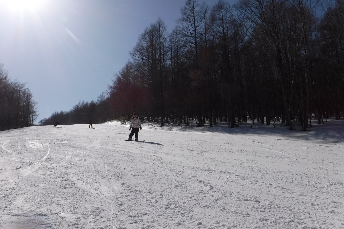 f:id:hirotaka72:20210228132401j:plain