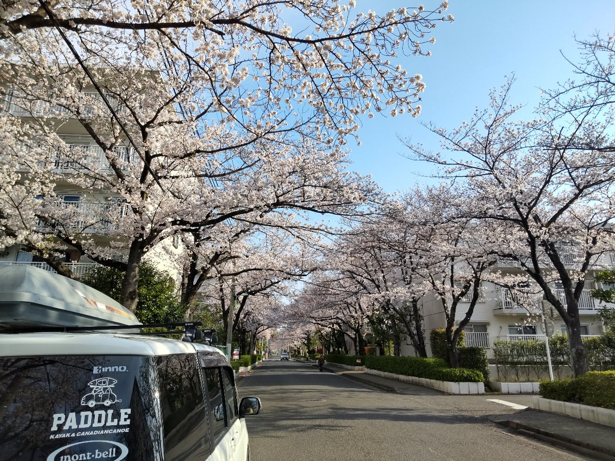 f:id:hirotaka72:20210329080246j:plain