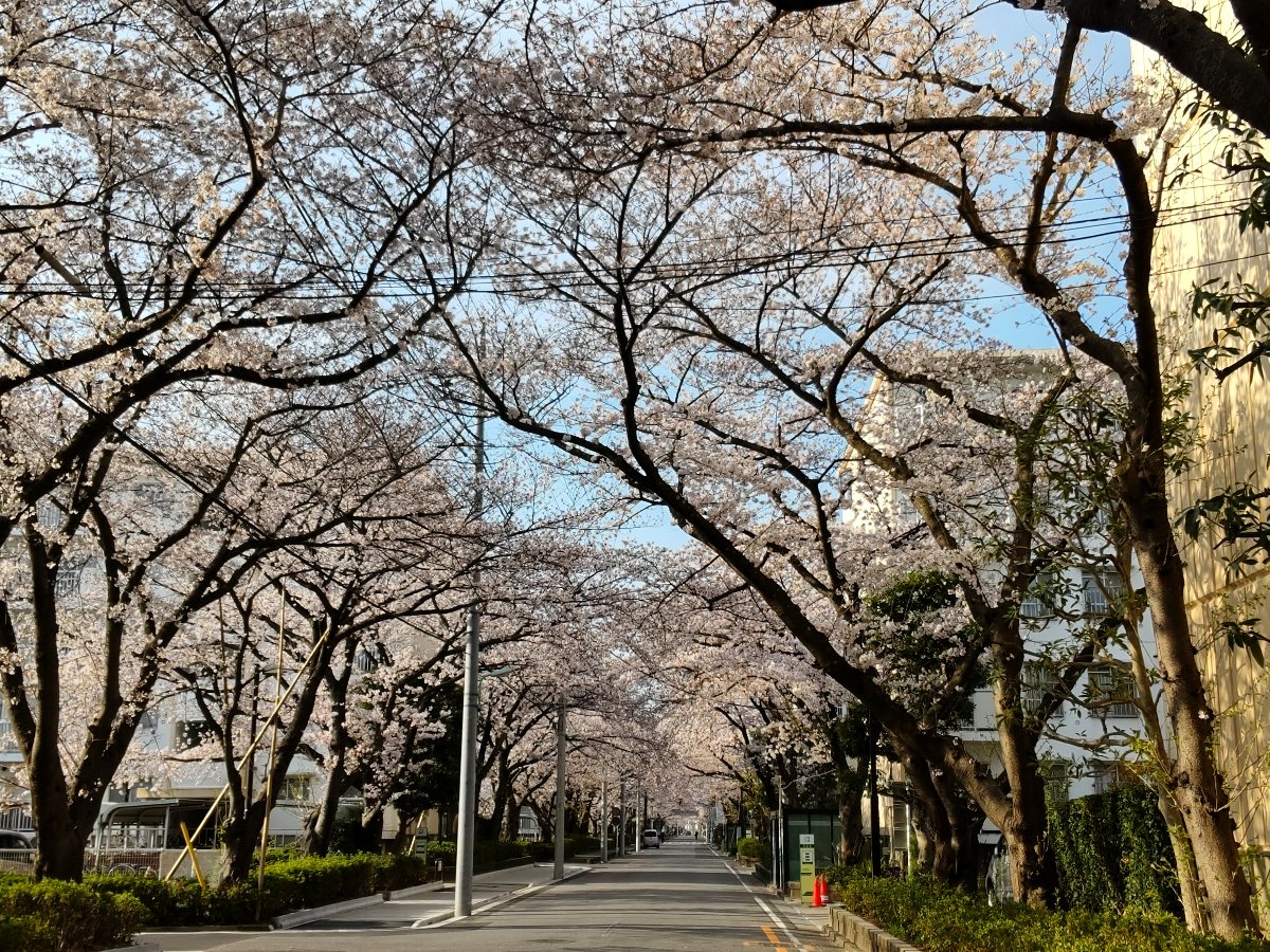 f:id:hirotaka72:20210329080305j:plain