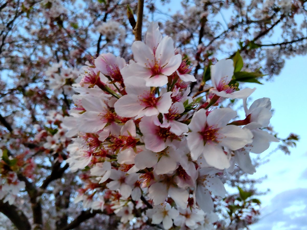 f:id:hirotaka72:20210402181557j:plain