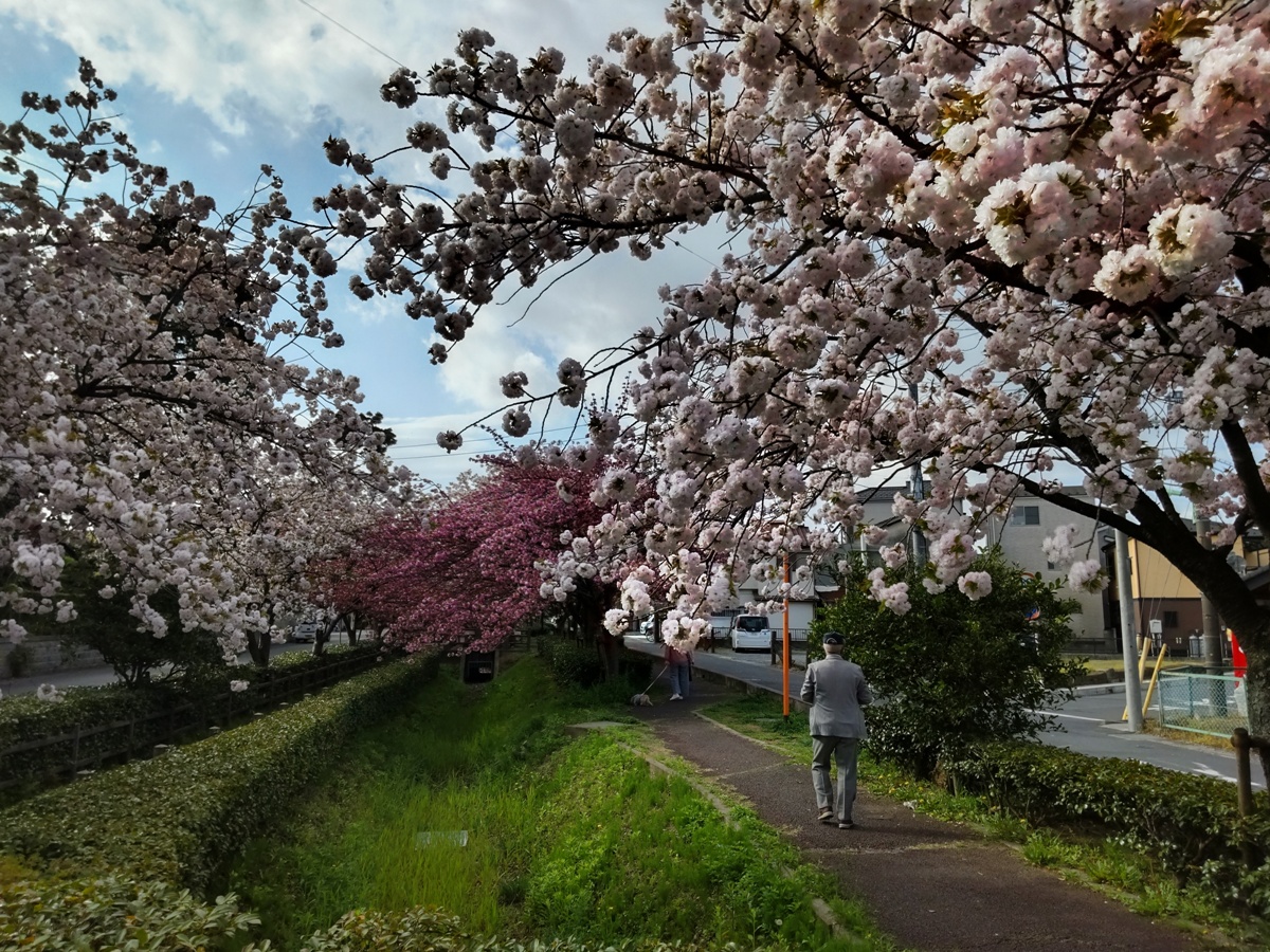 f:id:hirotaka72:20210404080745j:plain