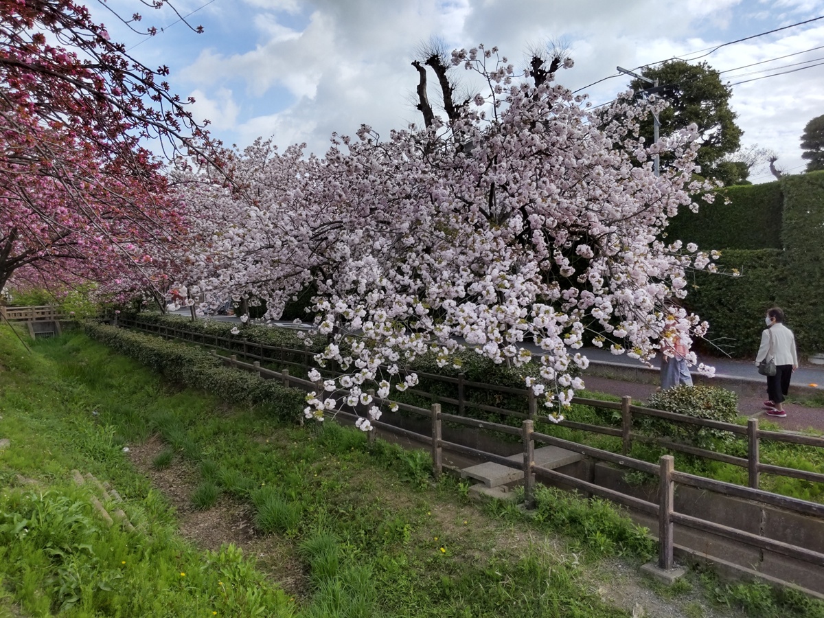 f:id:hirotaka72:20210404081222j:plain