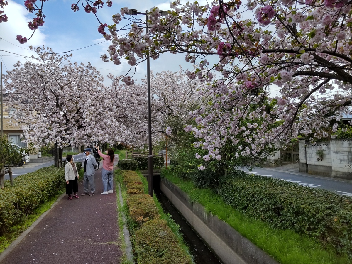 f:id:hirotaka72:20210404081938j:plain