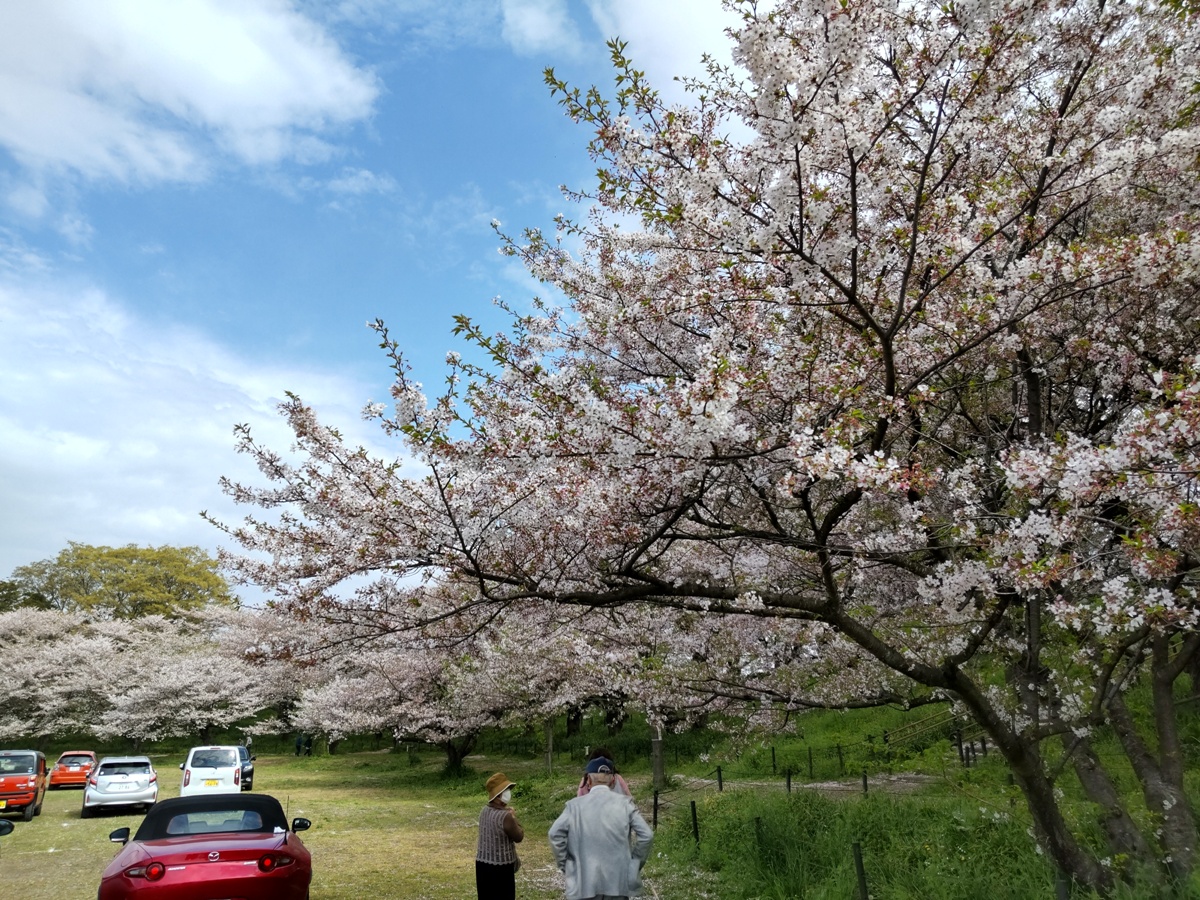 f:id:hirotaka72:20210404091959j:plain