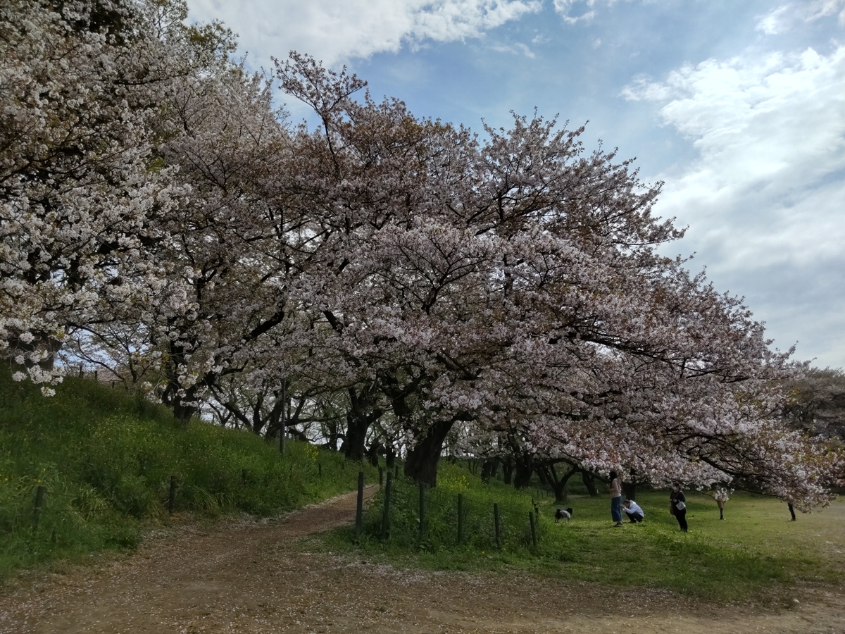 f:id:hirotaka72:20210404092419j:plain