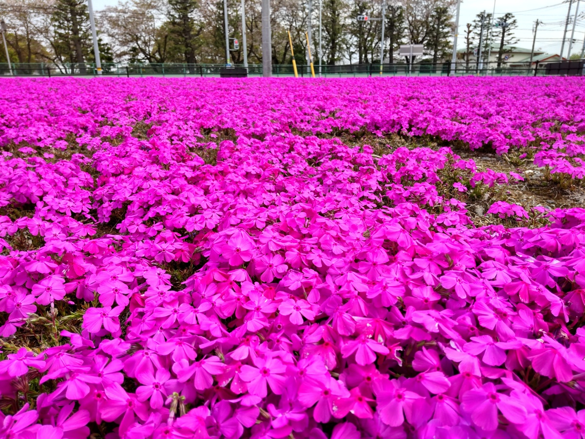 f:id:hirotaka72:20210404110222j:plain