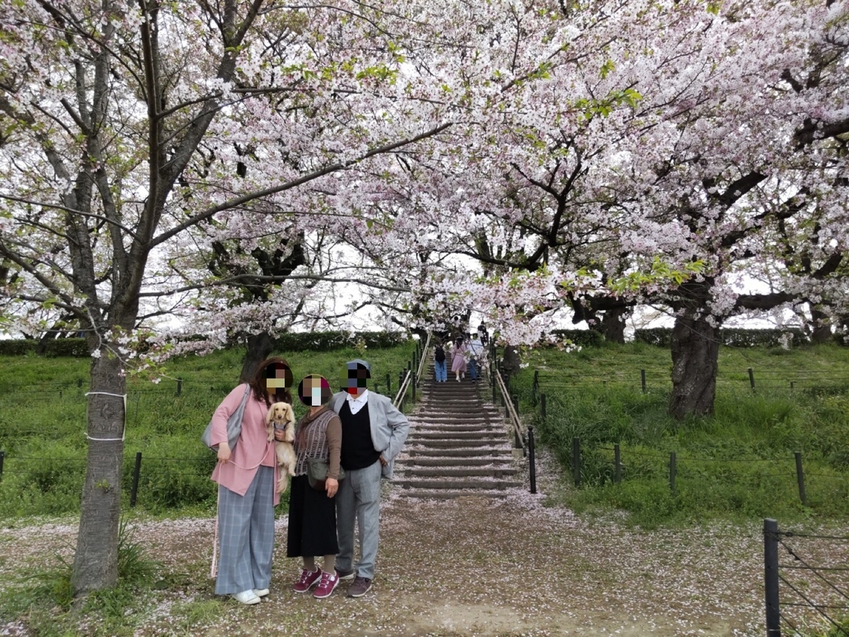 f:id:hirotaka72:20210404193457j:plain