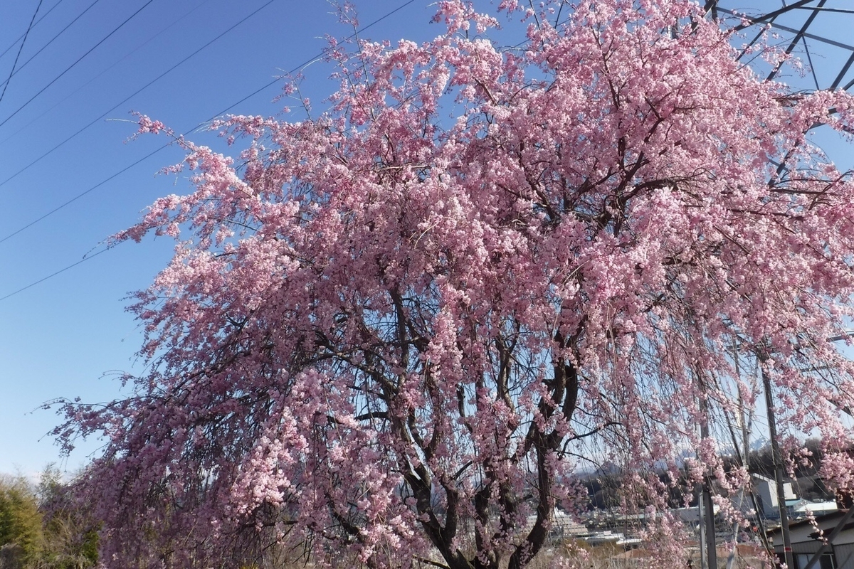 f:id:hirotaka72:20210412194314j:plain