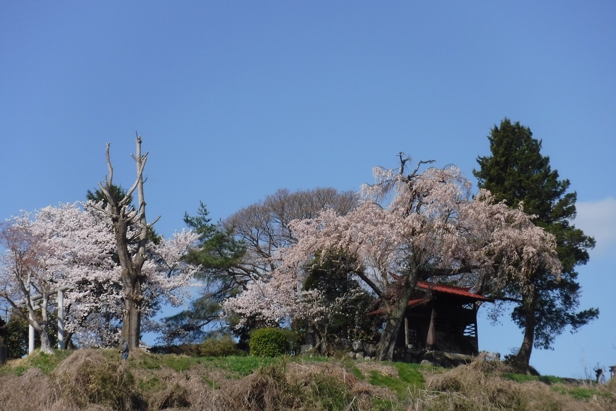 f:id:hirotaka72:20210412194526j:plain