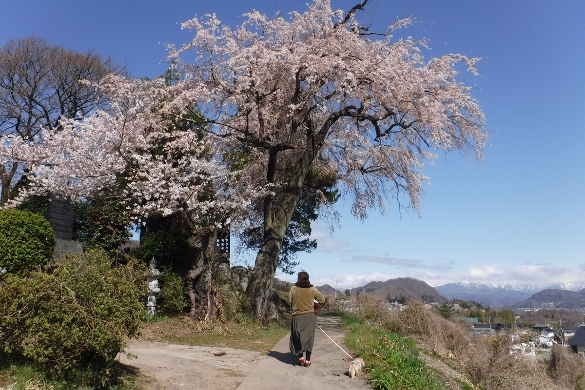 f:id:hirotaka72:20210412194552j:plain