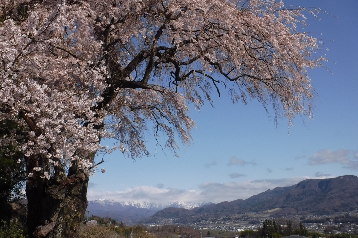 f:id:hirotaka72:20210412194634j:plain
