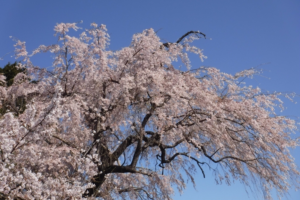 f:id:hirotaka72:20210412194659j:plain