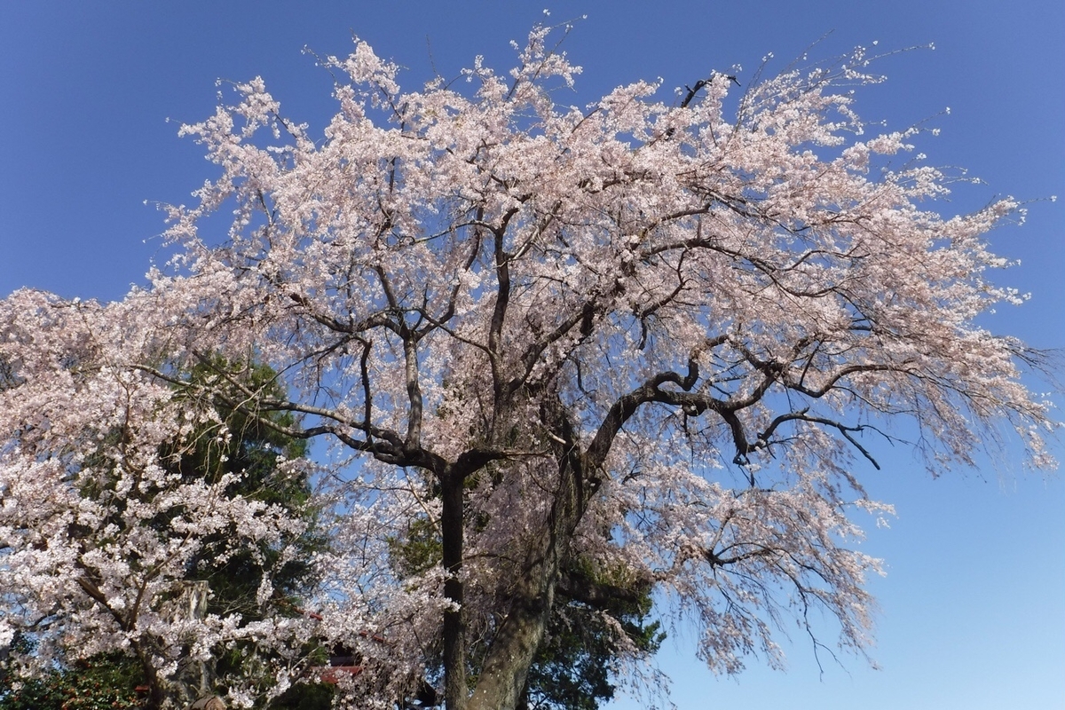 f:id:hirotaka72:20210412194751j:plain