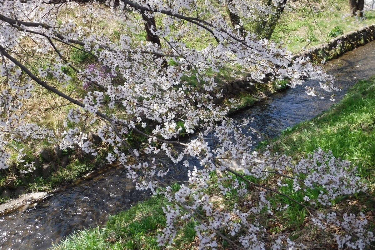f:id:hirotaka72:20210412200151j:plain