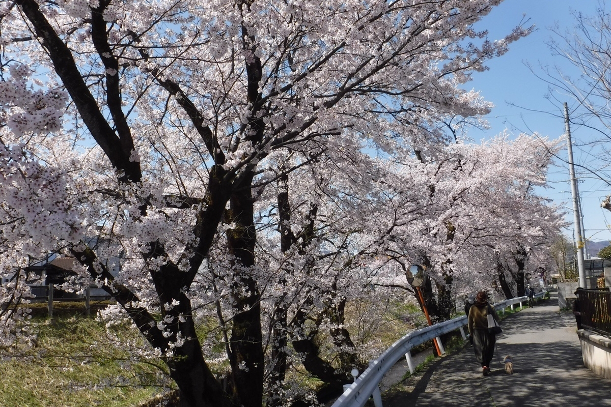 f:id:hirotaka72:20210412200547j:plain