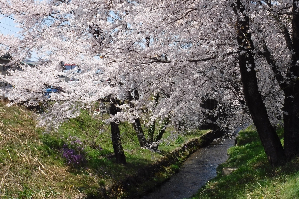 f:id:hirotaka72:20210412200612j:plain