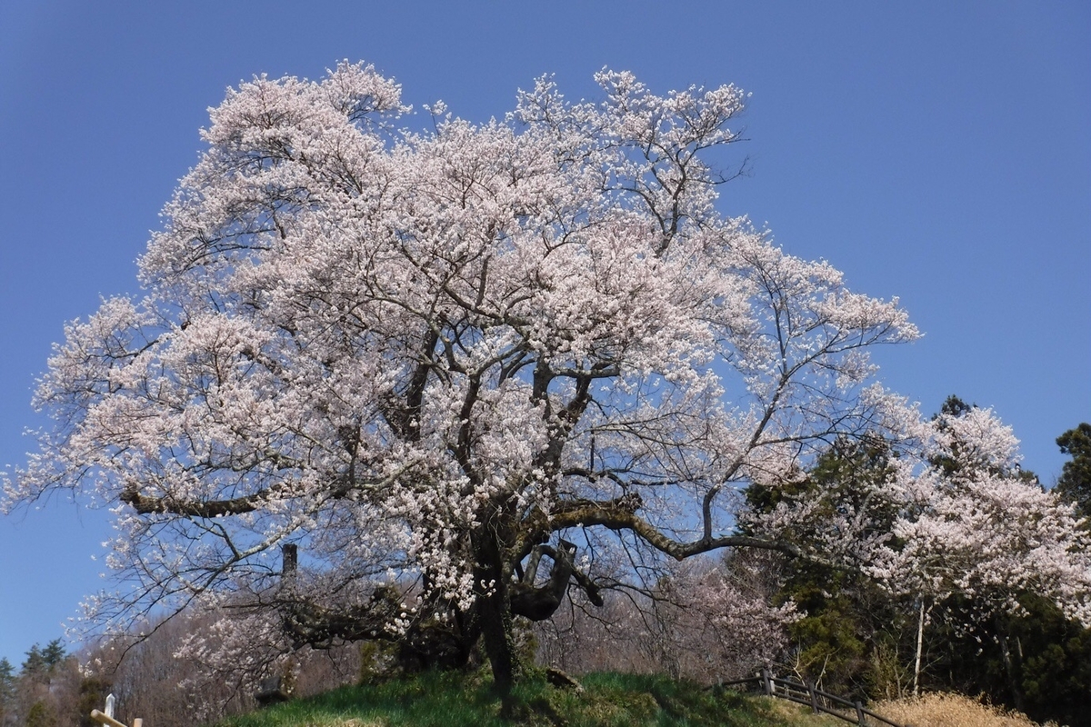 f:id:hirotaka72:20210412201144j:plain