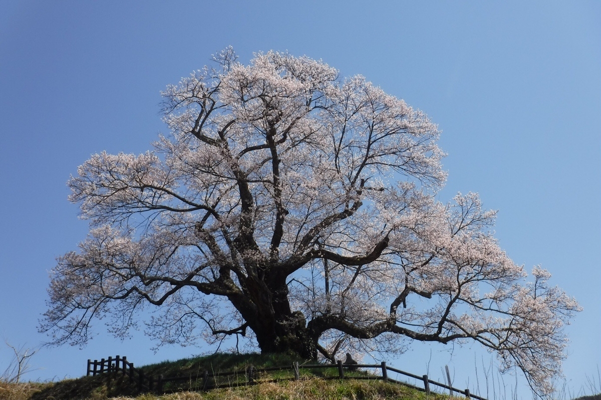 f:id:hirotaka72:20210412201253j:plain