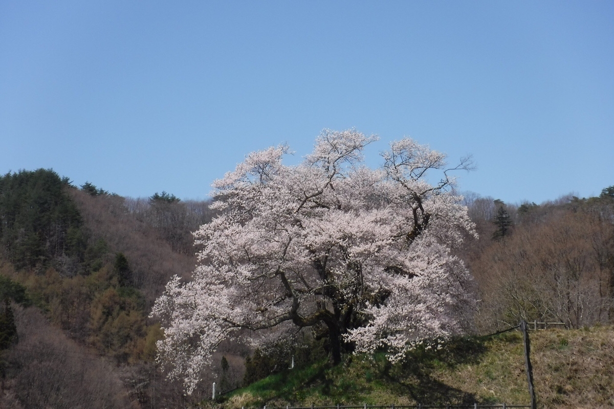 f:id:hirotaka72:20210412201344j:plain