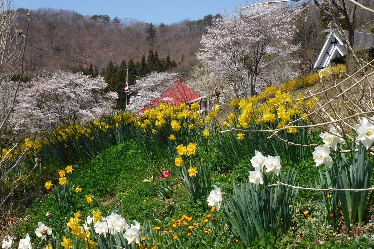 f:id:hirotaka72:20210412201409j:plain
