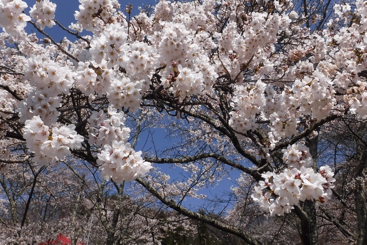 f:id:hirotaka72:20210412201429j:plain