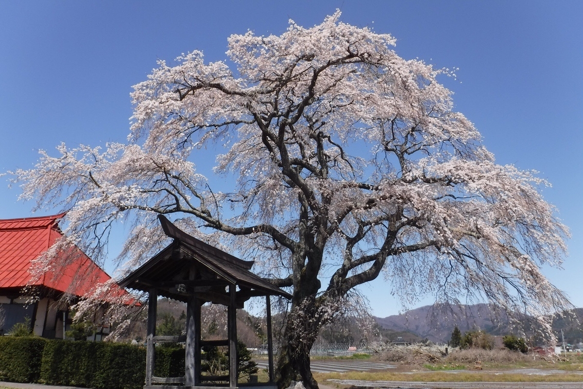 f:id:hirotaka72:20210412201516j:plain