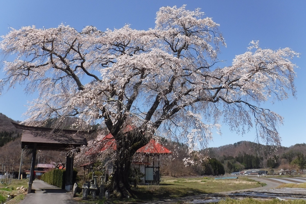 f:id:hirotaka72:20210412201544j:plain