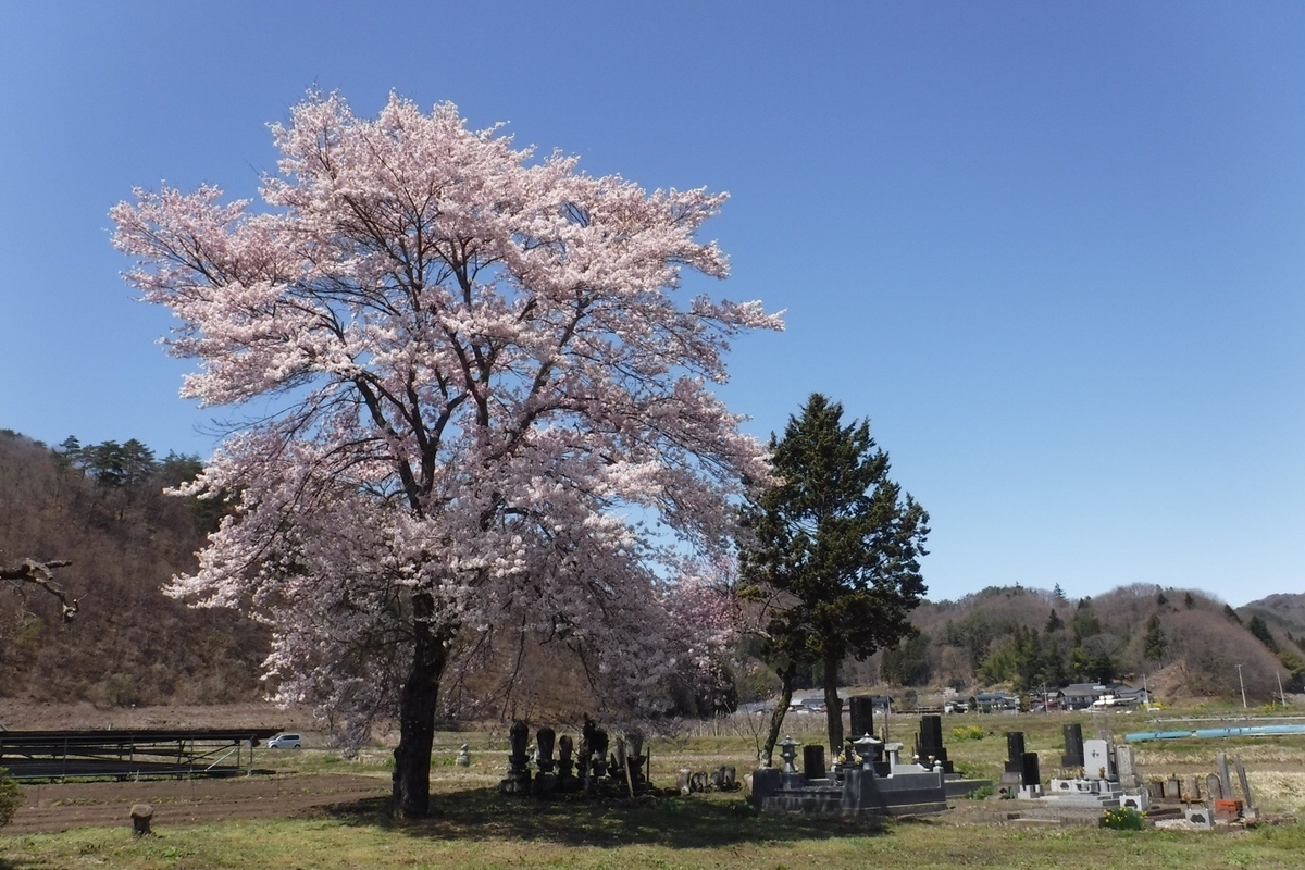 f:id:hirotaka72:20210412201653j:plain
