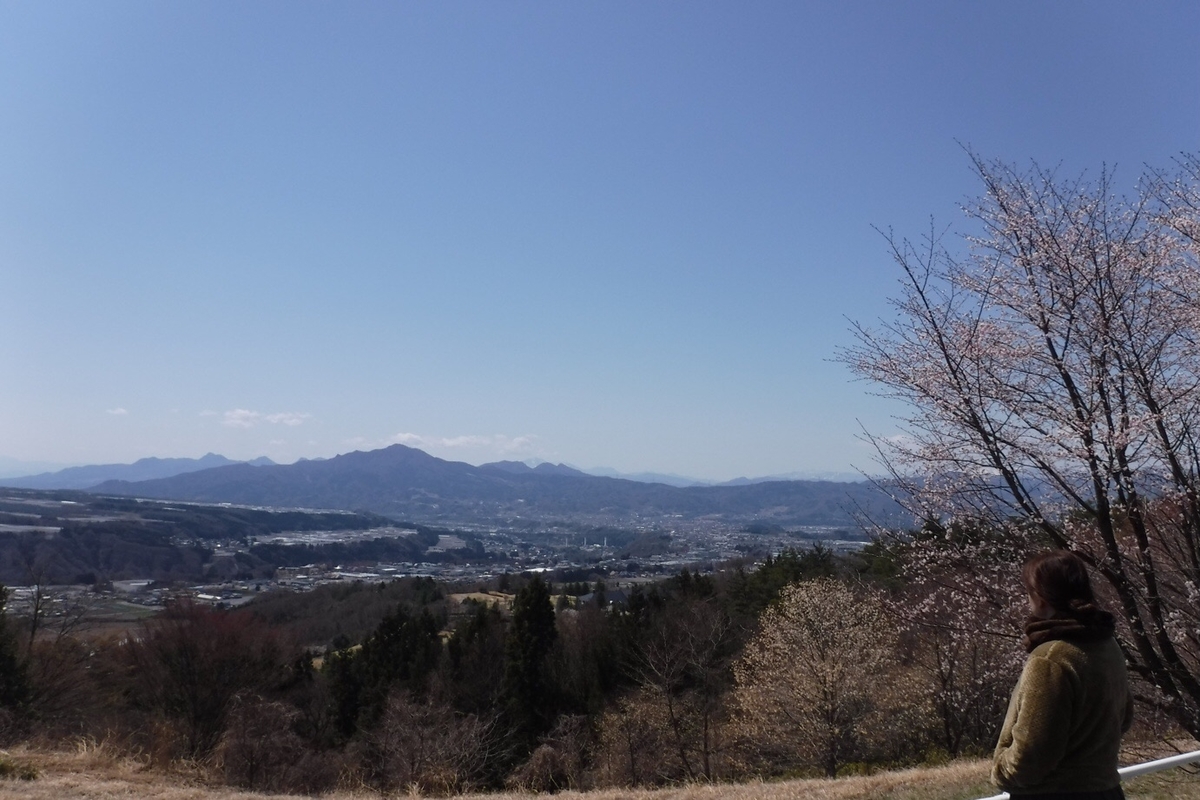 f:id:hirotaka72:20210412201720j:plain