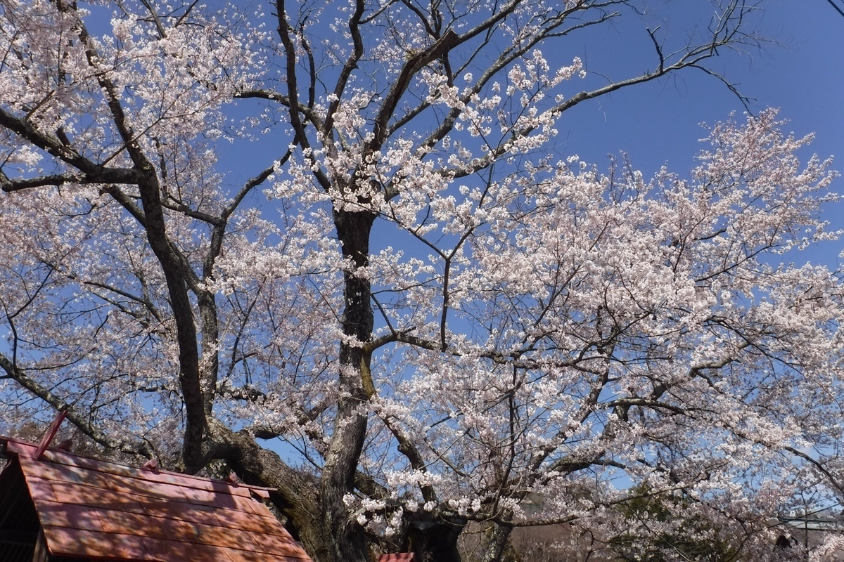 f:id:hirotaka72:20210412202720j:plain