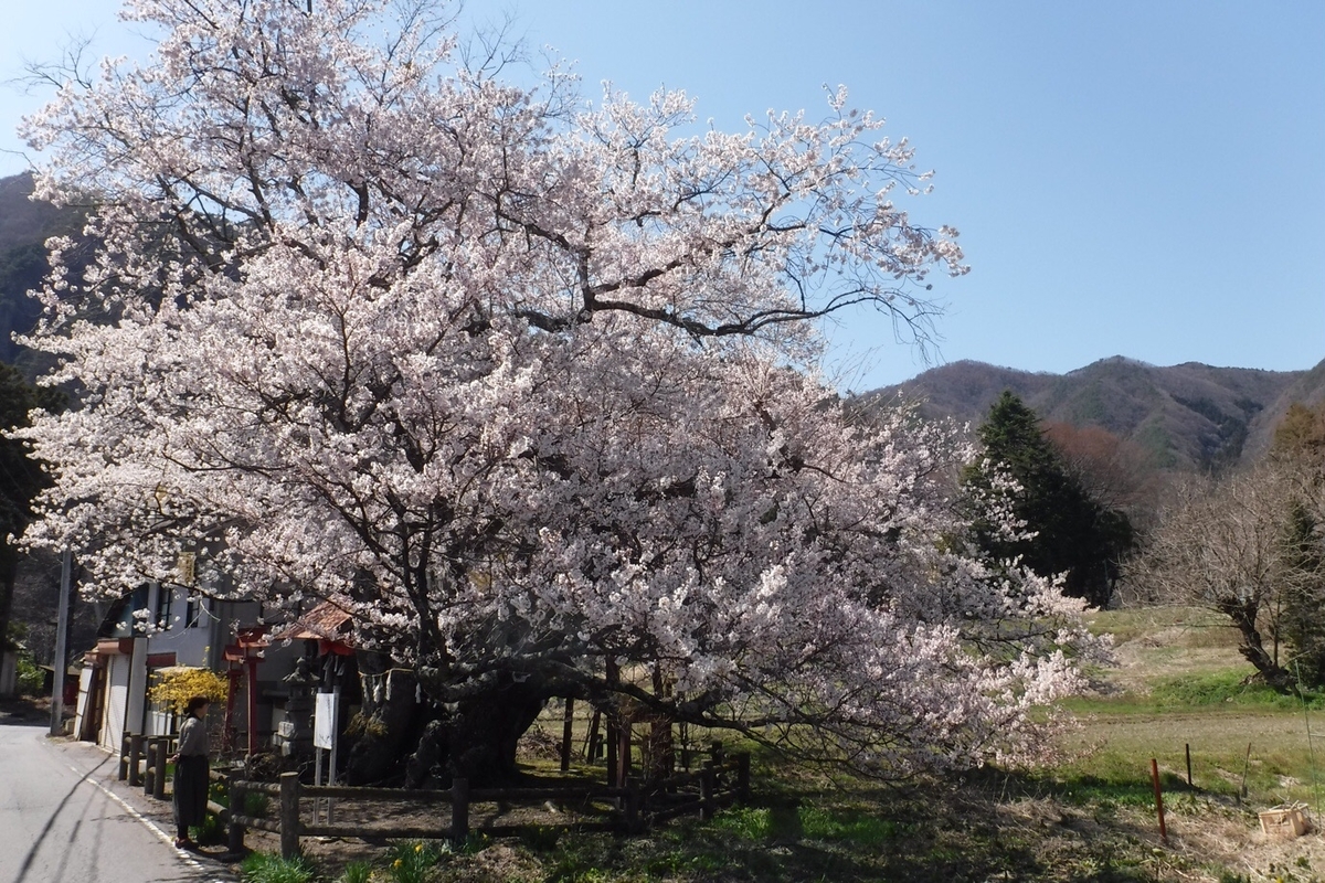 f:id:hirotaka72:20210412202813j:plain