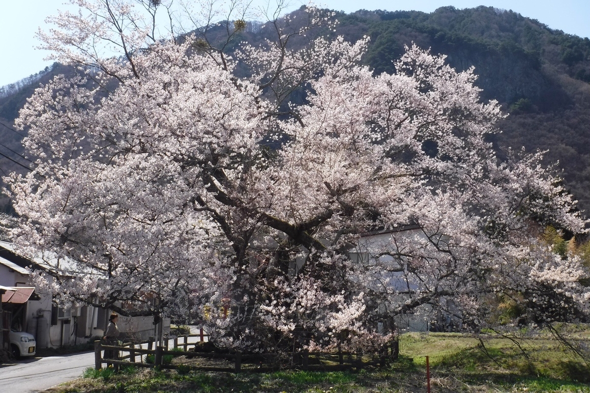 f:id:hirotaka72:20210412202954j:plain