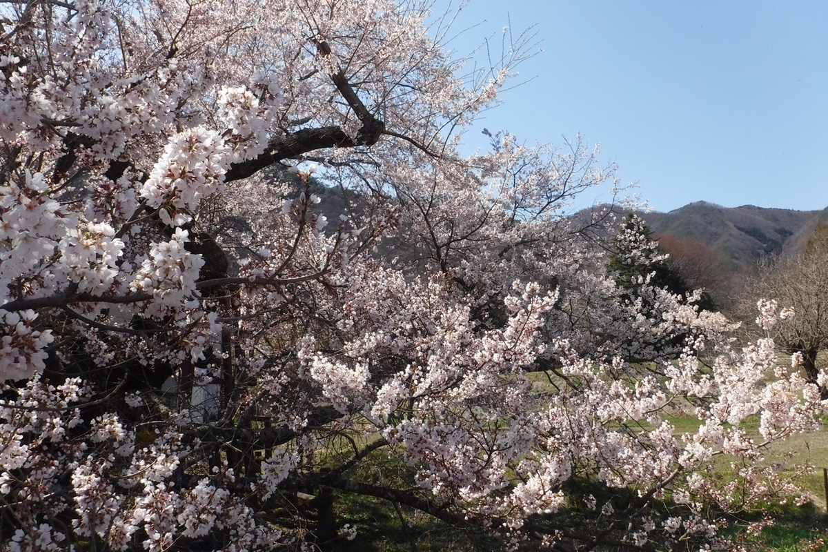 f:id:hirotaka72:20210412203028j:plain