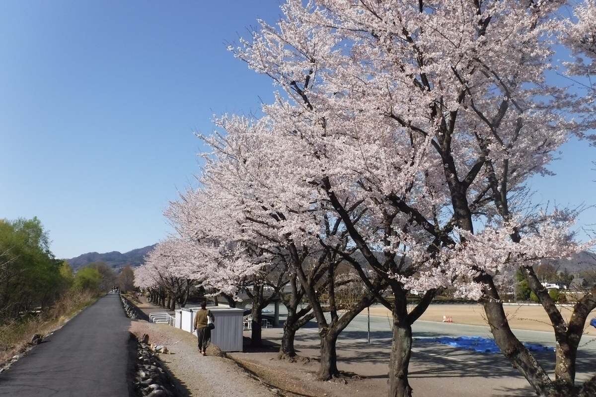 f:id:hirotaka72:20210412203833j:plain