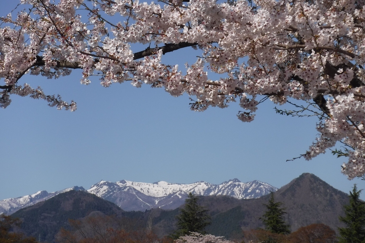 f:id:hirotaka72:20210412204157j:plain