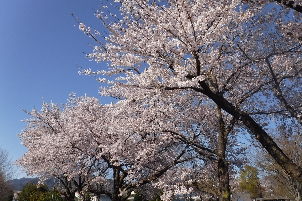f:id:hirotaka72:20210412204251j:plain