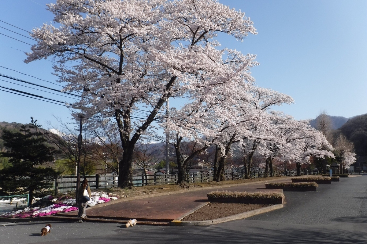 f:id:hirotaka72:20210412210400j:plain