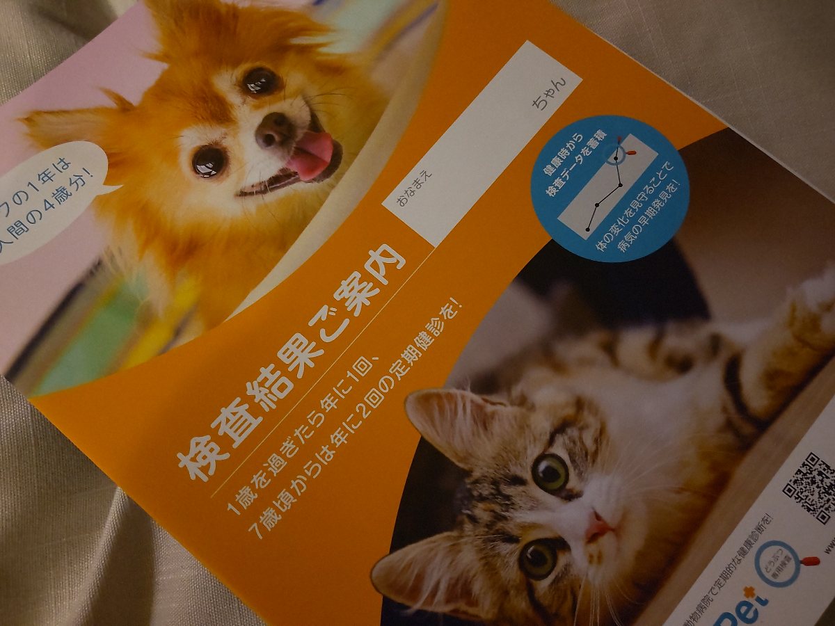 f:id:hirotaka72:20210416202349j:plain