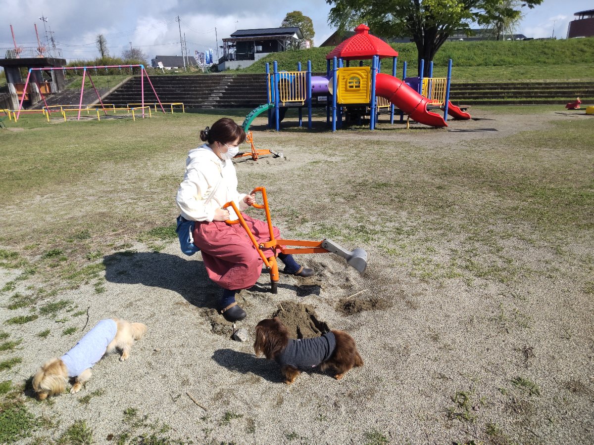 f:id:hirotaka72:20210419075802j:plain
