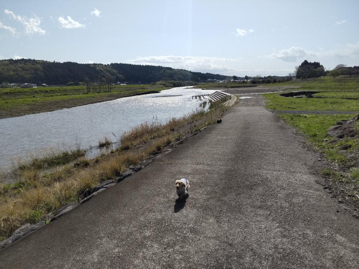 f:id:hirotaka72:20210419080218j:plain