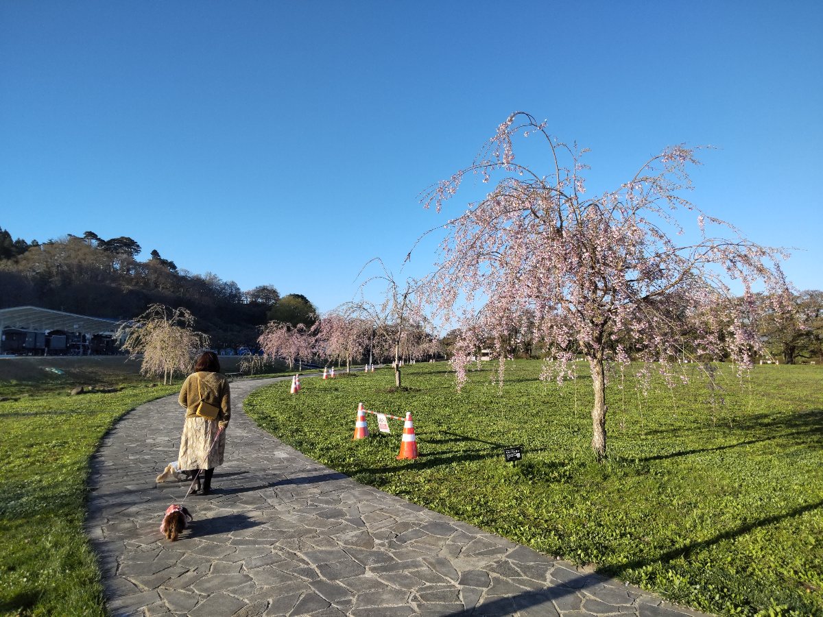 f:id:hirotaka72:20210426080443j:plain