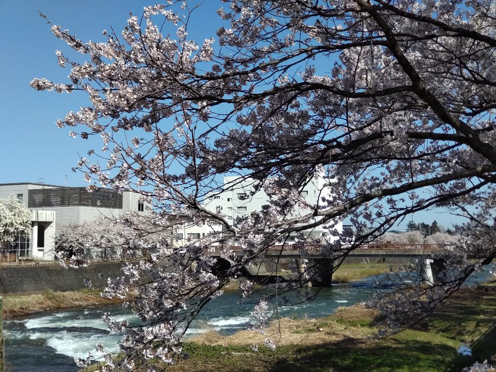 f:id:hirotaka72:20210426081237j:plain
