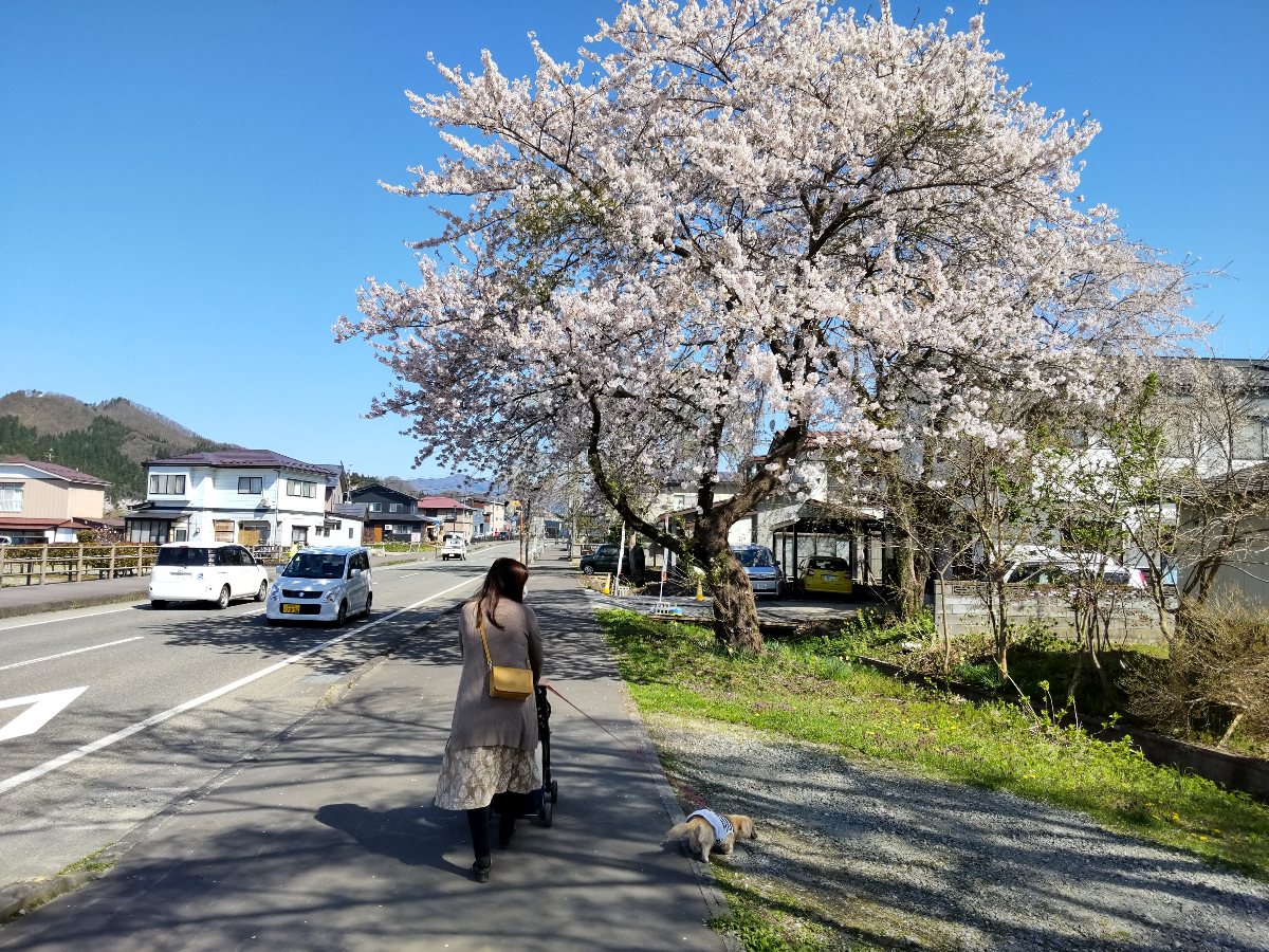 f:id:hirotaka72:20210426175608j:plain