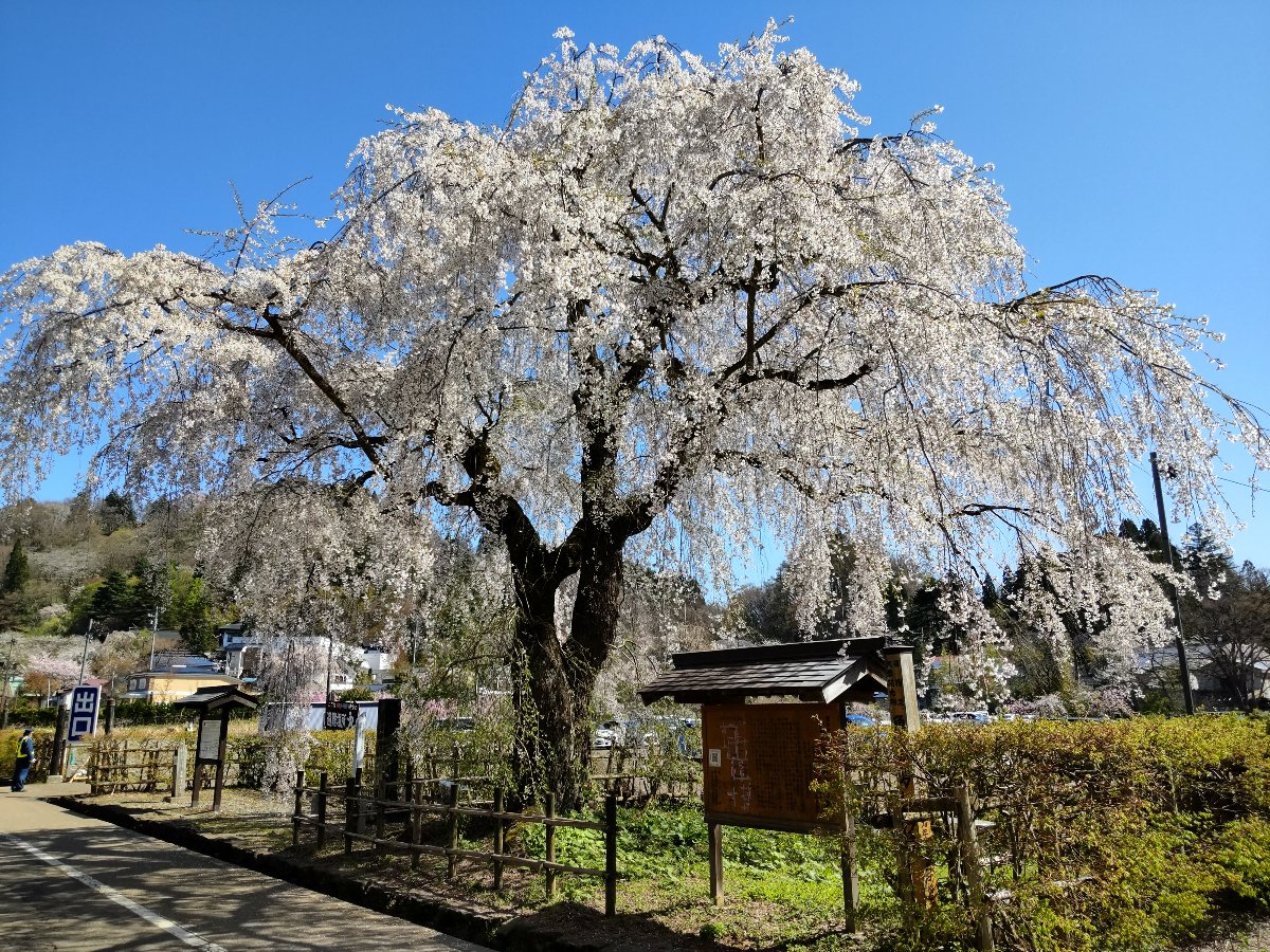 f:id:hirotaka72:20210426182320j:plain