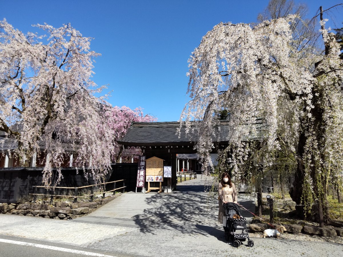f:id:hirotaka72:20210426211345j:plain