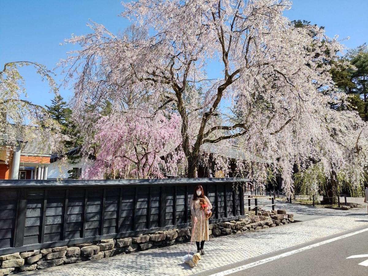 f:id:hirotaka72:20210426211536j:plain