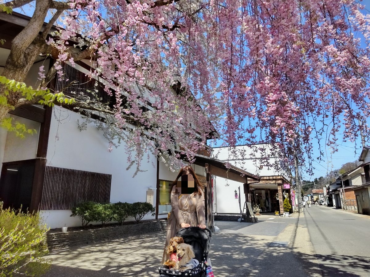 f:id:hirotaka72:20210426223151j:plain