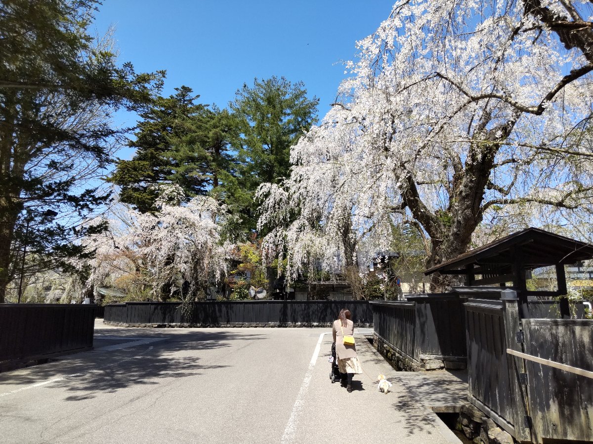 f:id:hirotaka72:20210426232514j:plain