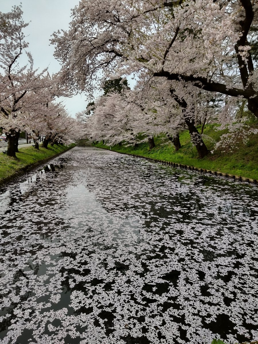 f:id:hirotaka72:20210427181010j:plain