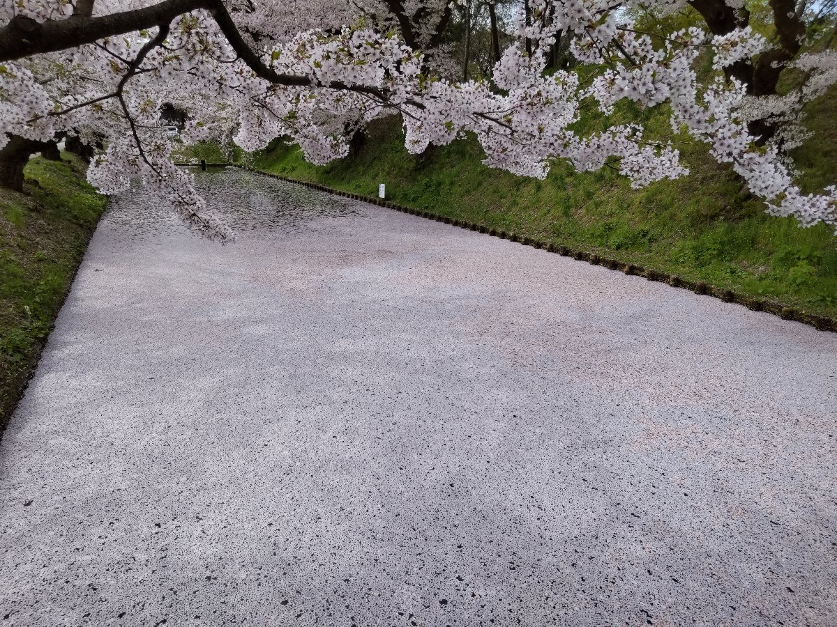 f:id:hirotaka72:20210427181501j:plain